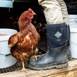 Muck Boot Company Muck Men's Chore Classic Mid Black Pull On Rubber Boots CHM-000A-BL 7 Muck Boot Company Muck Men's Chore Classic Mid Black Pull On Rubber Boots CHM-000A-BL -Hardy Footwear Sales Store CHM000A lifestyle LARGE 26f95ff6 592d 4d58 b0c0 33aad30728d9