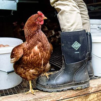 Muck Boot Company Muck Men's Chore Classic Mid Black Pull On Rubber Boots CHM-000A-BL 5 Muck Boot Company Muck Men's Chore Classic Mid Black Pull On Rubber Boots CHM-000A-BL - Image 3