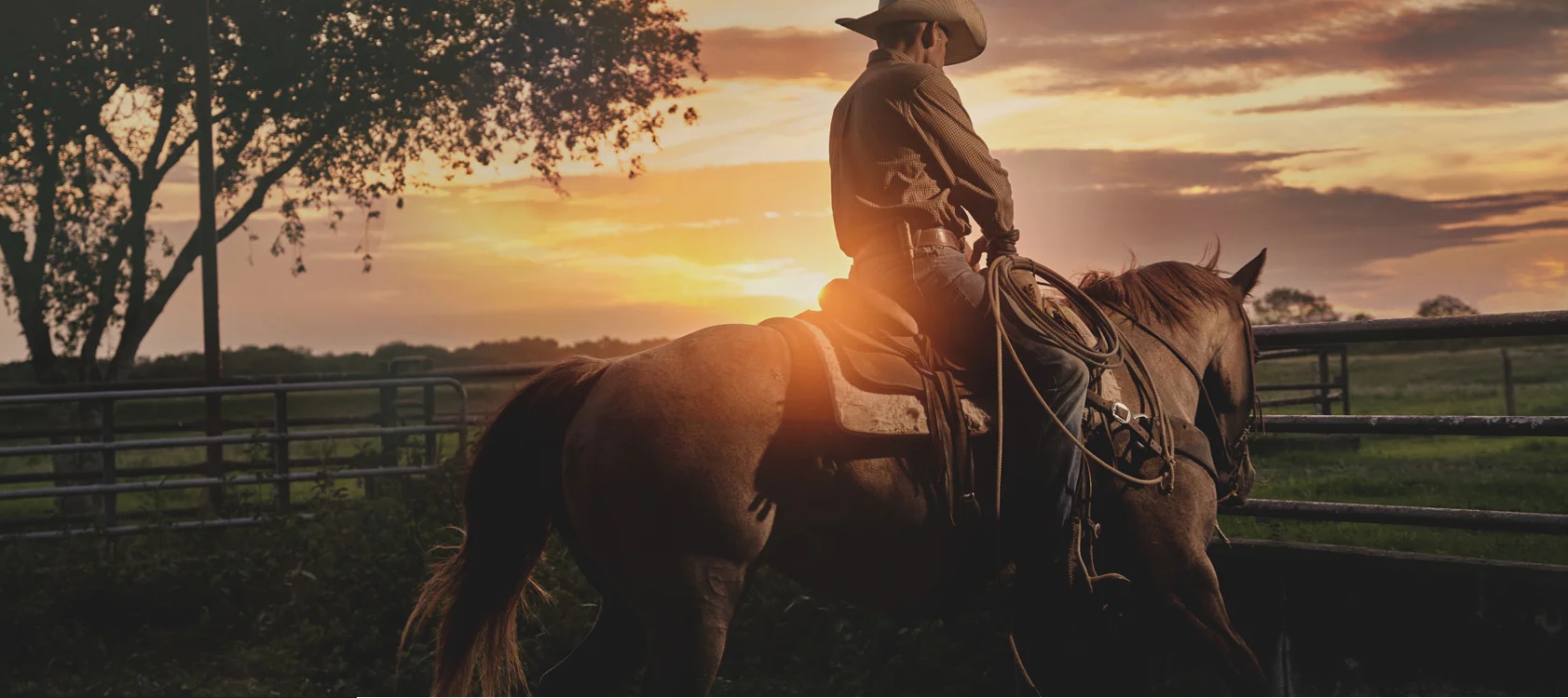 Hardy Footwear Sales Store -Hardy Footwear Sales Store qffgoqfghu